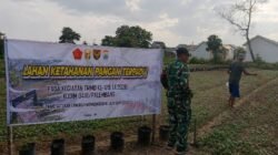 TMMD Kodim 0418/Palembang Dorong Ketahanan Pangan, Lahan Warga Disiapkan Jadi Penopang Swasembada