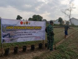 TMMD Kodim 0418/Palembang Dorong Ketahanan Pangan, Lahan Warga Disiapkan Jadi Penopang Swasembada