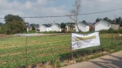 Hari Ke-19 TMMD, Satgas Kodim 0418/Palembang Rawat Lahan Ketahanan Pangan Terpadu