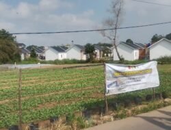 Hari Ke-19 TMMD, Satgas Kodim 0418/Palembang Rawat Lahan Ketahanan Pangan Terpadu