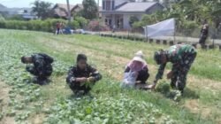 Tak Harus Punya Lahan Luas, Satgas TMMD ke-129 Kodim 0418/Palembang Dorong Warga Hasilkan Pangan dari Lingkungan Sendiri