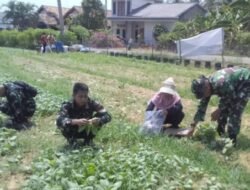 Tak Harus Punya Lahan Luas, Satgas TMMD ke-129 Kodim 0418/Palembang Dorong Warga Hasilkan Pangan dari Lingkungan Sendiri