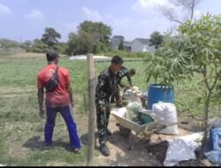 Panen Sawi Jadi Bukti TMMD Kodim 0418/Palembang Dorong Kemandirian Pangan Warga