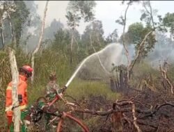 Api Berhasil Dipadamkan, Karhutla di Pulo Kerto Tak Meluas