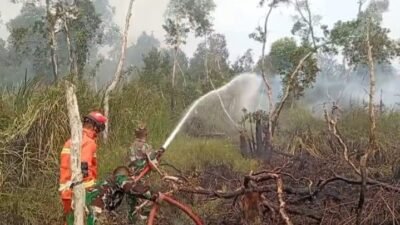 Api Berhasil Dipadamkan, Karhutla di Pulo Kerto Tak Meluas