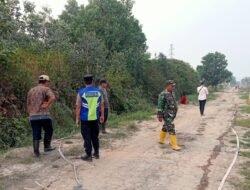 Api Bakar 2 Hektare Lahan di Sematang Borang, Titik Kobaran Sulit Dijangkau Petugas