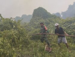 Api Lahap 2 Hektare Lahan di Kalidoni, Babinsa dan Warga Turun Tangan