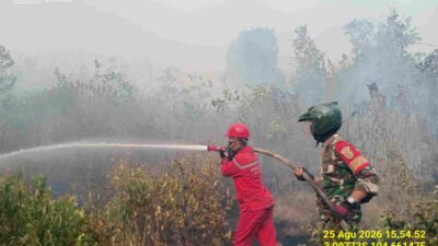 Babinsa Pulo Kerto Sigap Tangani Karhutla, Tiga Hektare Lahan Terbakar