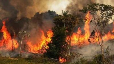 Hadapi Karhutla dan Asap Lintas Batas, Tony Saputra Dorong Polri Perkuat Collaborative Policing