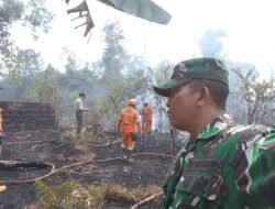 Respons Cepat Babinsa dan Damkar, Kebakaran Lahan 1 Hektare di Kaplingan DPRD Palembang Berhasil Dipadamkan