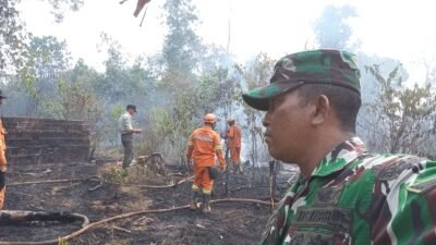 Respons Cepat Babinsa dan Damkar, Kebakaran Lahan 1 Hektare di Kaplingan DPRD Palembang Berhasil Dipadamkan