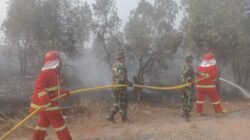 Kebakaran Lahan Gambut Mengganas di Ogan Ilir, Babinsa dan Tim Gabungan Padamkan Api 3 Jam Lebih