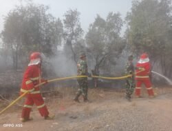 Kebakaran Lahan Gambut Mengganas di Ogan Ilir, Babinsa dan Tim Gabungan Padamkan Api 3 Jam Lebih