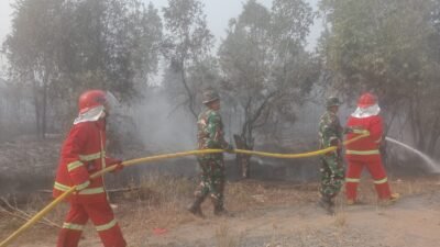 Kebakaran Lahan Gambut Mengganas di Ogan Ilir, Babinsa dan Tim Gabungan Padamkan Api 3 Jam Lebih