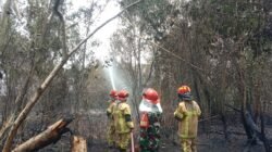 Cegah Api Merambat ke Sawah Warga, Babinsa dan Water Tank TNI AD Padamkan Karhutla di Karya Jaya
