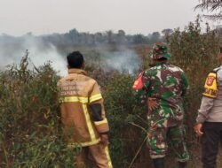 Respons Cepat Cegah Api Meluas, Babinsa dan Damkar Padamkan Karhutla di Karya Jaya