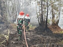 Babinsa dan Damkar Bergerak Cepat Padamkan Kebakaran 2 Hektare Lahan di Pulokerto
