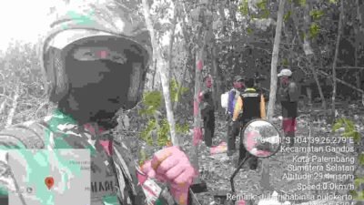 Kebakaran Lahan 5.000 Meter Persegi di Gandus, Petugas Bergerak Cepat Cegah Api Meluas
