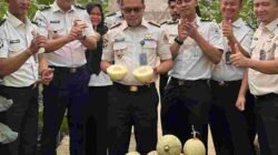SAE Rutan Palembang Produktif, Warga Binaan Panen Melon Hasil Budidaya