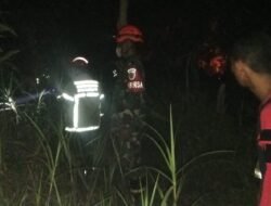 Satgas Karhutla Kodim 0418/Palembang Padamkan Kebakaran Semak Belukar di Gandus