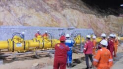 Perkuat Ketahanan Energi, PLN Alirkan Gas Natuna ke Batam Lewat Pipa WNTS–Pemping