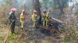 Babinsa Bersama Tim Gabungan Padamkan Karhutla 1,5 Hektare di Karya Jaya