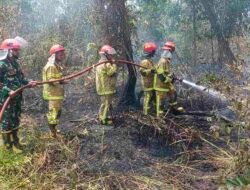 Babinsa Bersama Tim Gabungan Padamkan Karhutla 1,5 Hektare di Karya Jaya